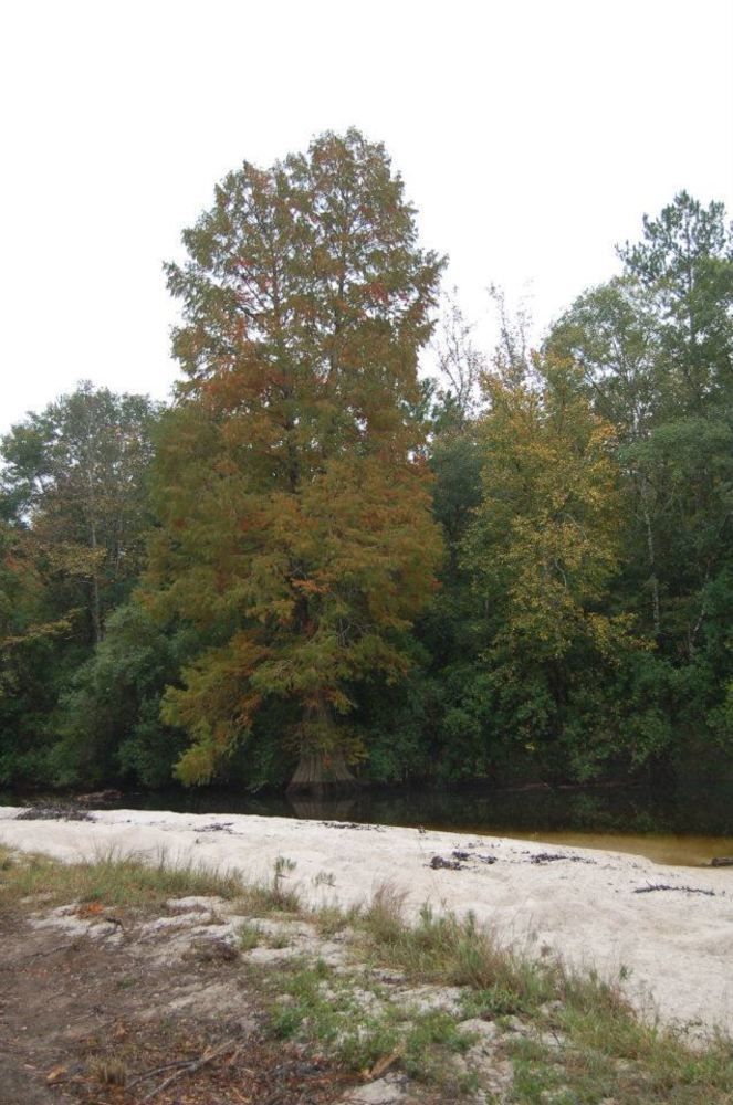 Tux Creek Inn Biloxi Zewnętrze zdjęcie
